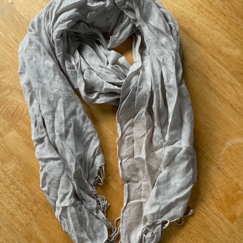 American Eagle Outfitters Silver Scarf